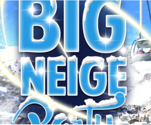 BIG NEIGE PARTY