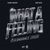 Global Deejays x Andy Dust - What A Feeling (2026)