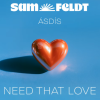 Sam Feldt Need That Love