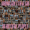 David Guetta & Sia - Beautiful People