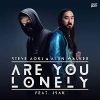 Steve Aoki & Alan Walker - Are You Lonely feat. ISÁK