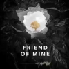 Avicii - Friend Of Mine