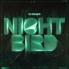 DJ Snake - Nightbird