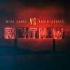 Nick Jonas, Robin Schulz - Right Now