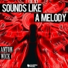 Anton Wick - Sounds Like A Melody 