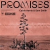 Calvin Harris, Sam Smith - Promises