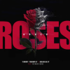  Timmy Trumpet x bradeazy - Roses 