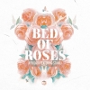 Afrojack - Bed Of Roses