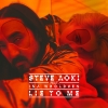 Steve Aoki - Lie To Me feat. Ina Wroldsen