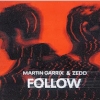 Martin Garrix & Zedd - Follow